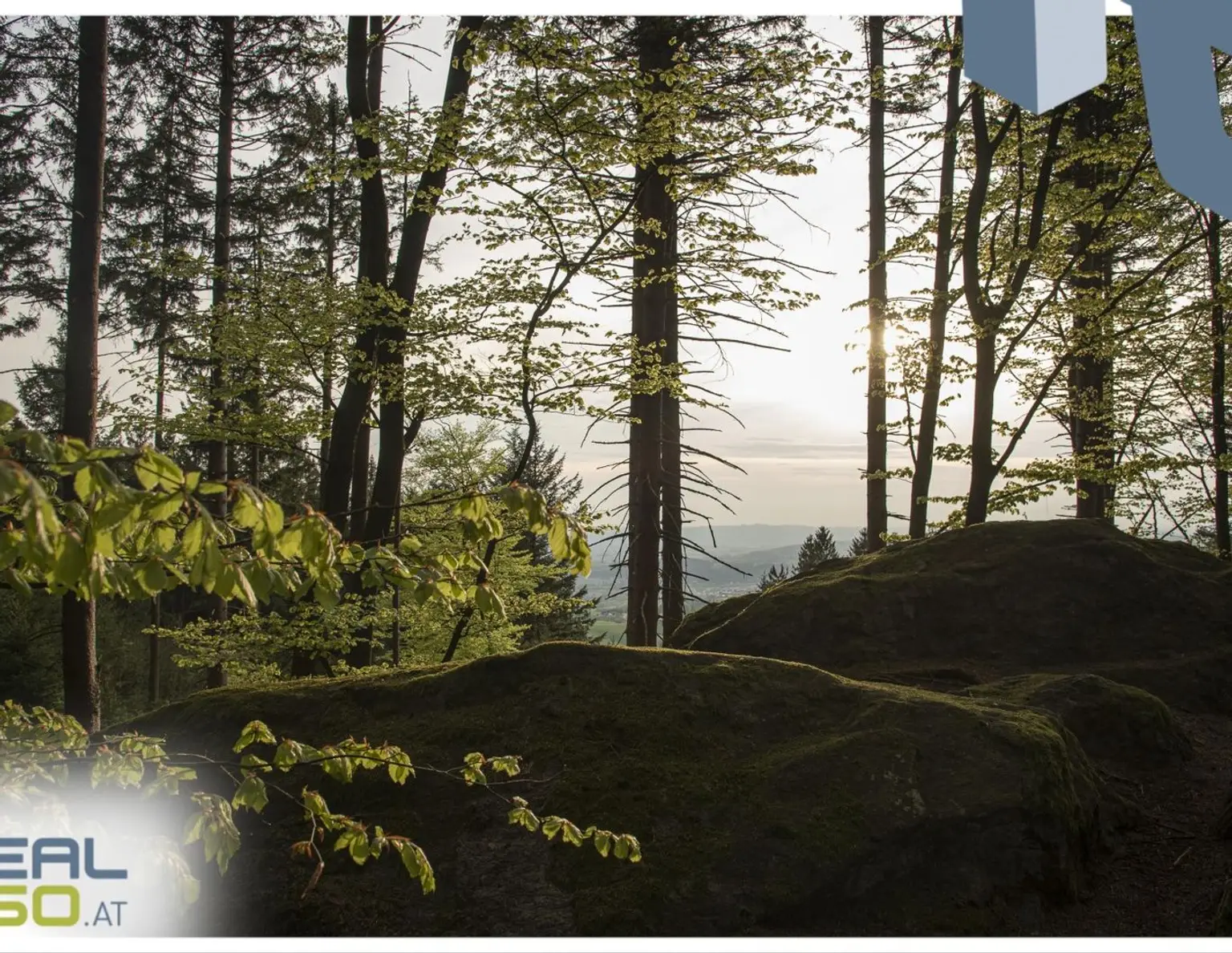 Idyllisches Hanggrundstück mit grandioser Aussicht, 13min von Linz entfernt!
