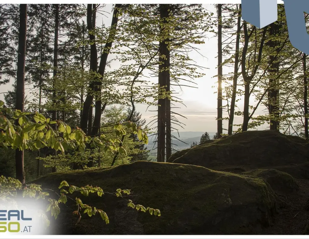 Idyllisches Hanggrundstück mit grandioser Aussicht, 13min von Linz entfernt!