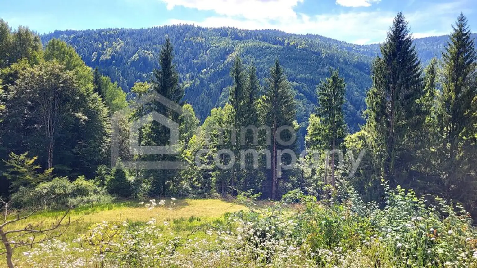 Wohnen direkt am Waldrand mit Panoramablick