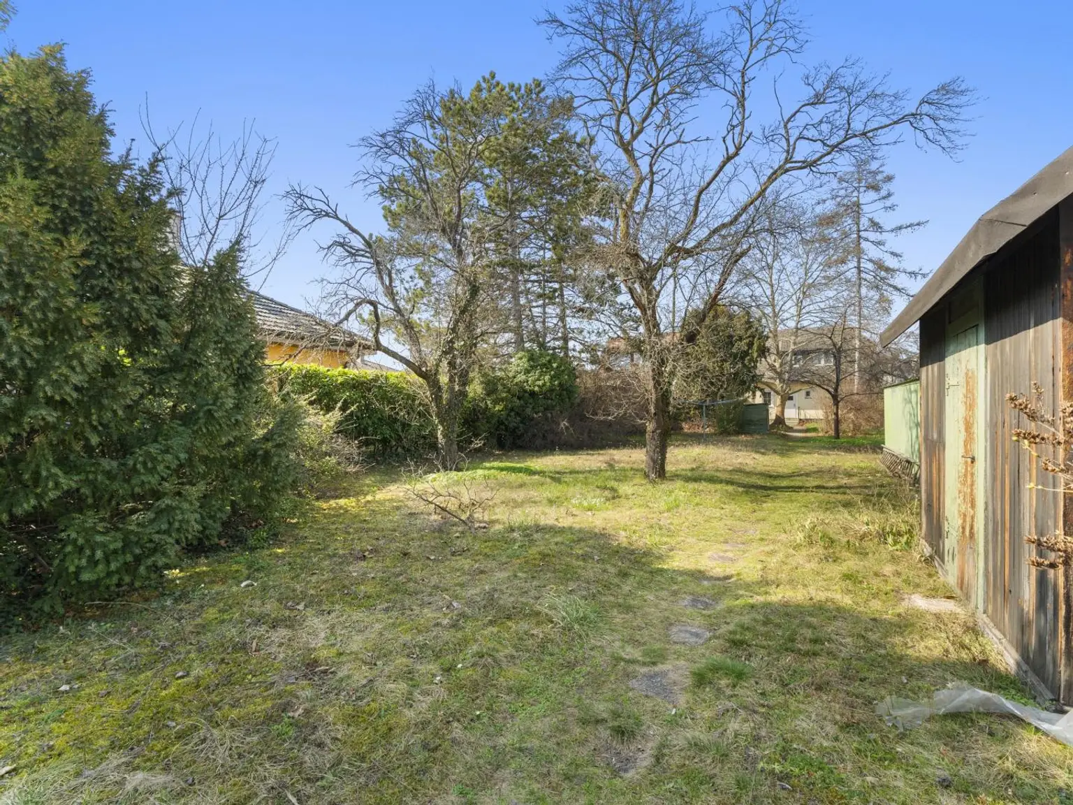 Großes Grundstück mit Baumbestand