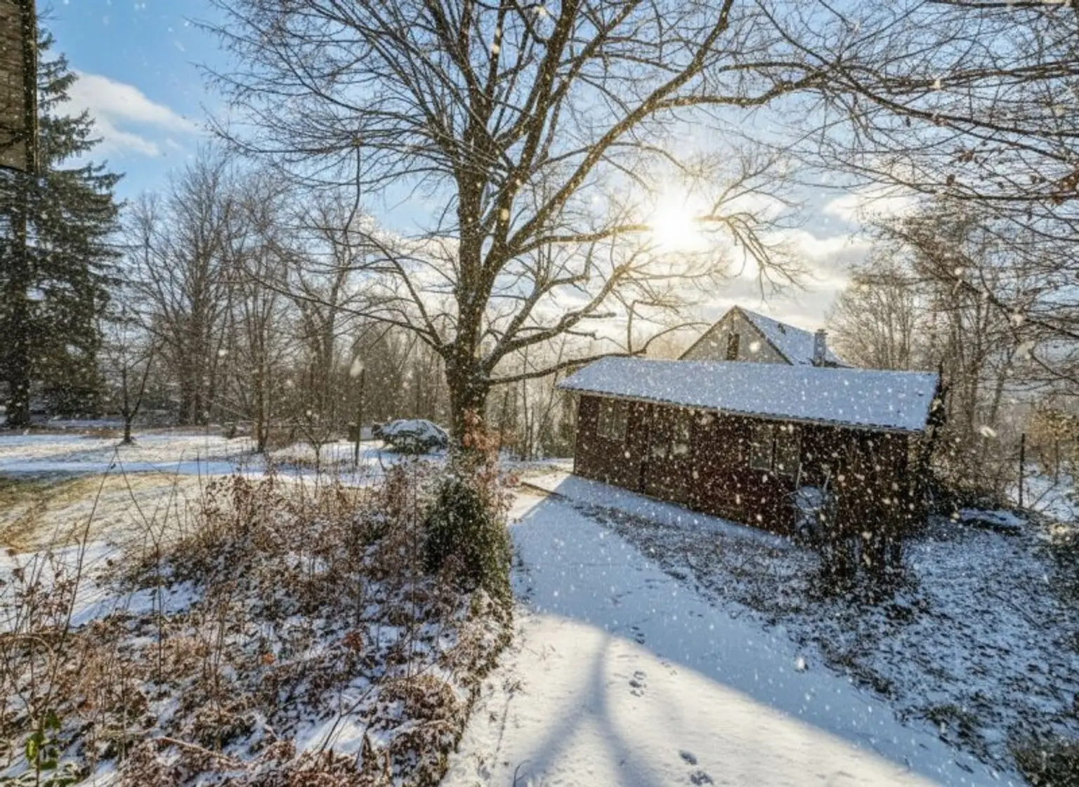 Garten mit Gartenhütte