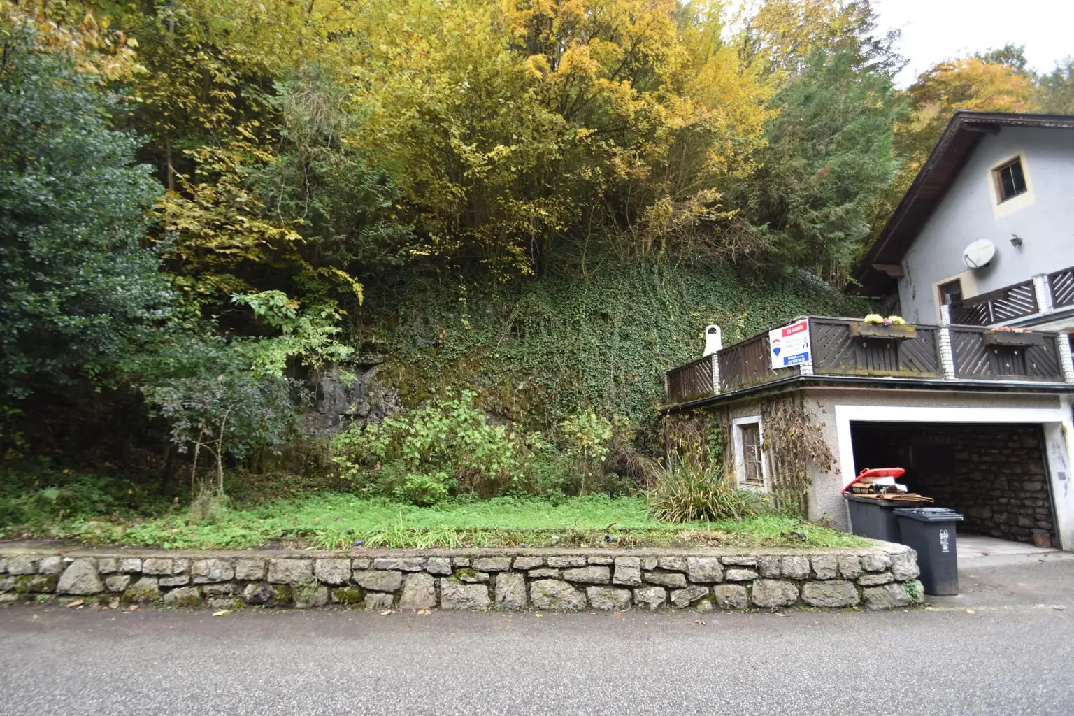 Wohnhaus mit großem Waldgrundstück
