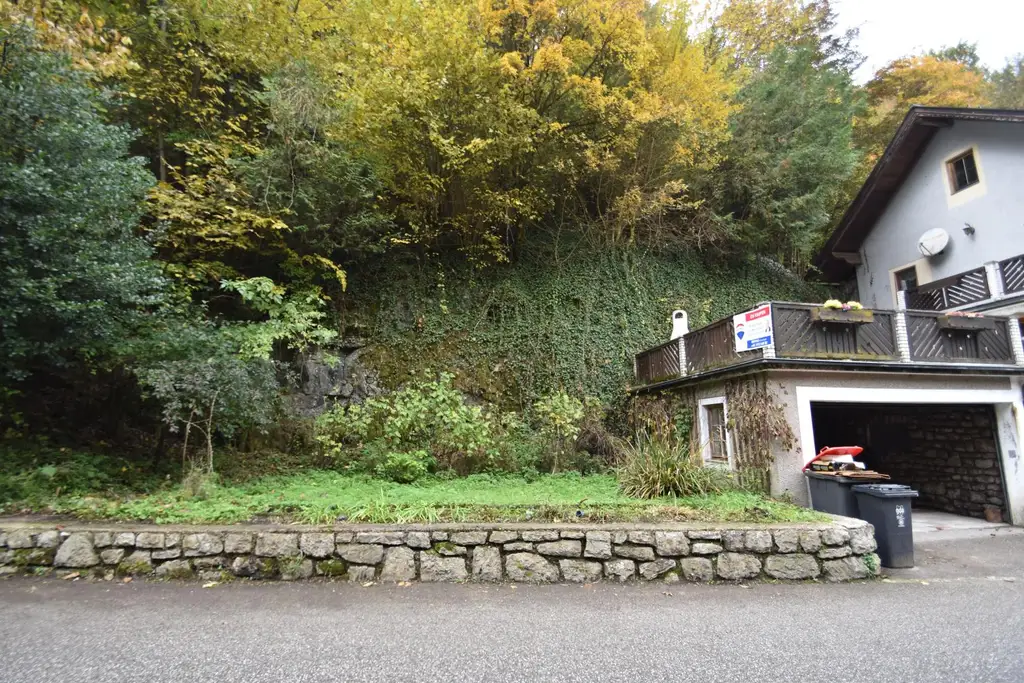 Wohnhaus mit großem Waldgrundstück