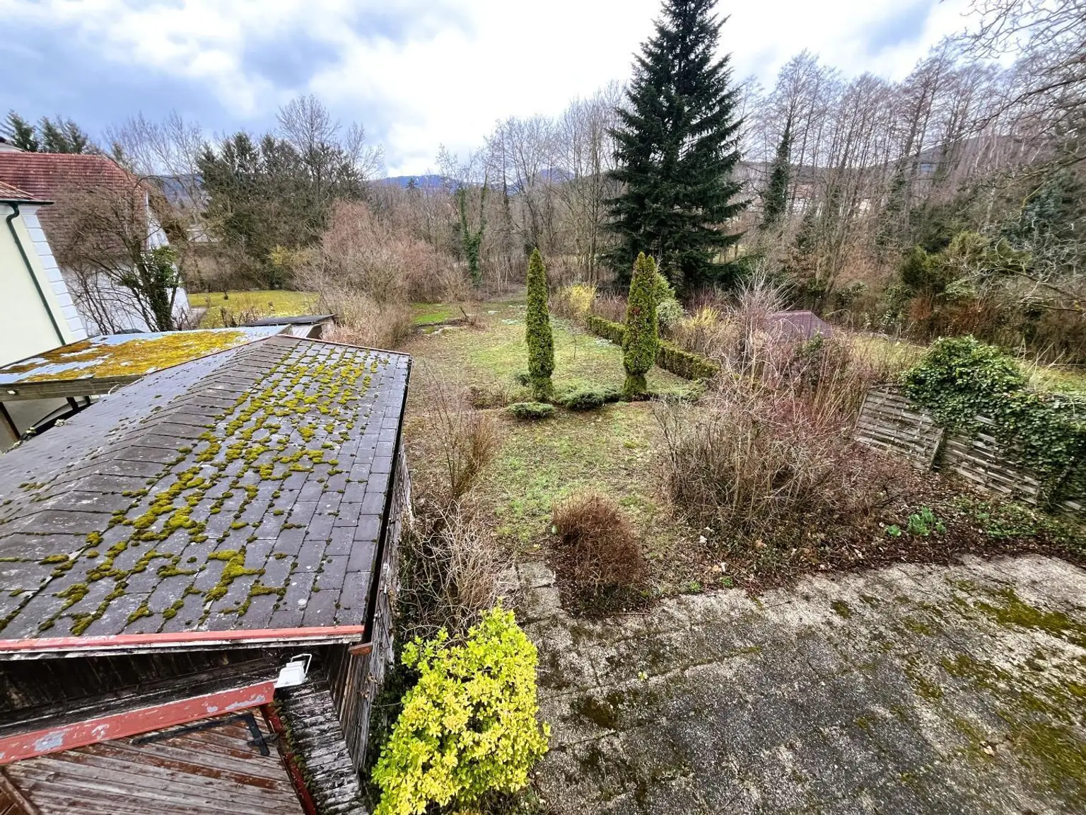 Blick in den Garten
