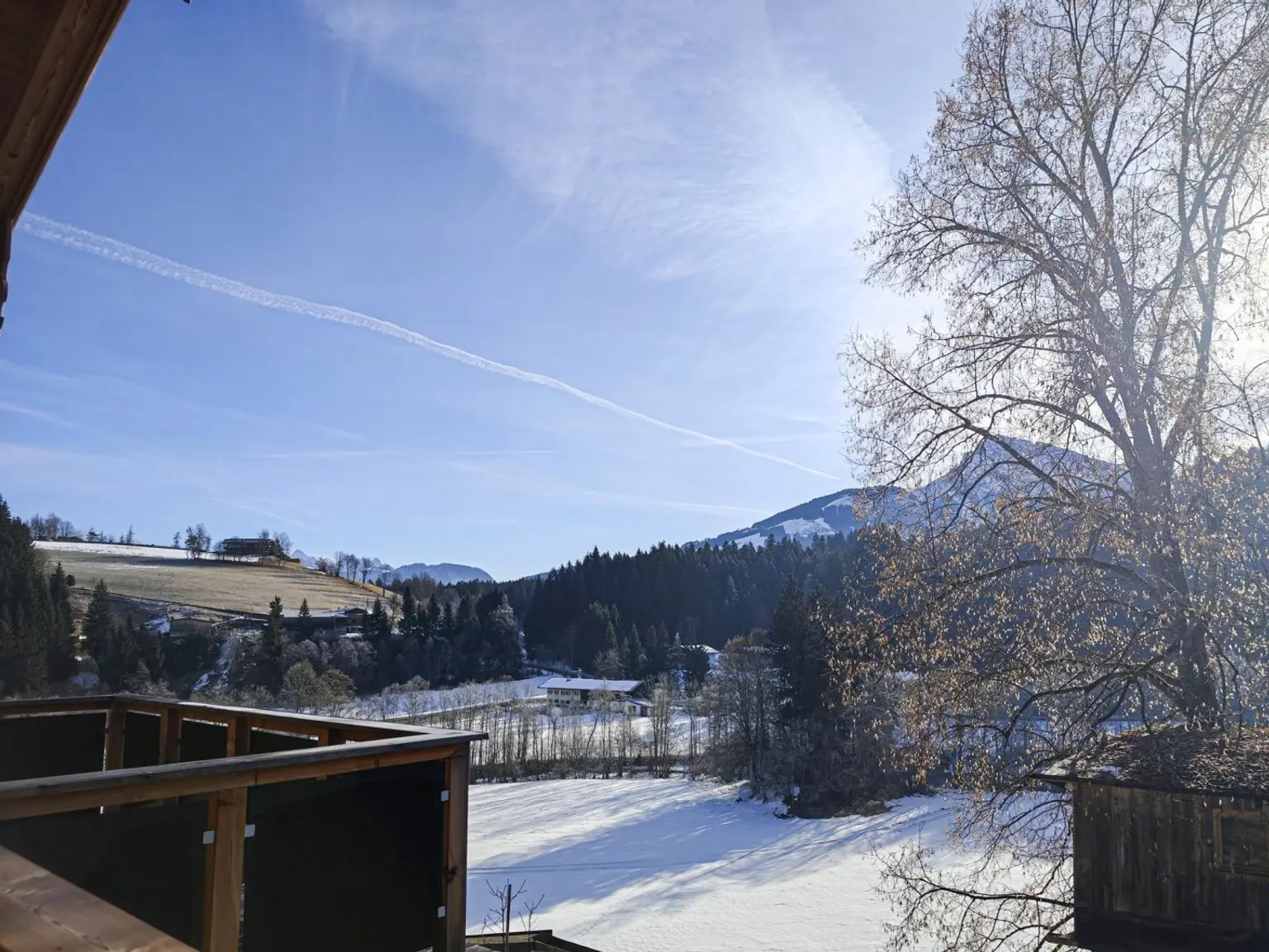 Südbalkon bzw. Terrasse
