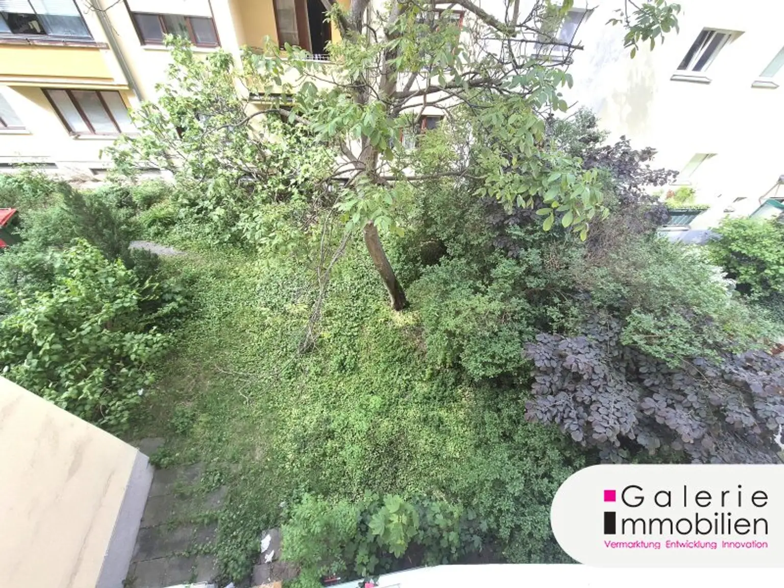 Blick in den Garten