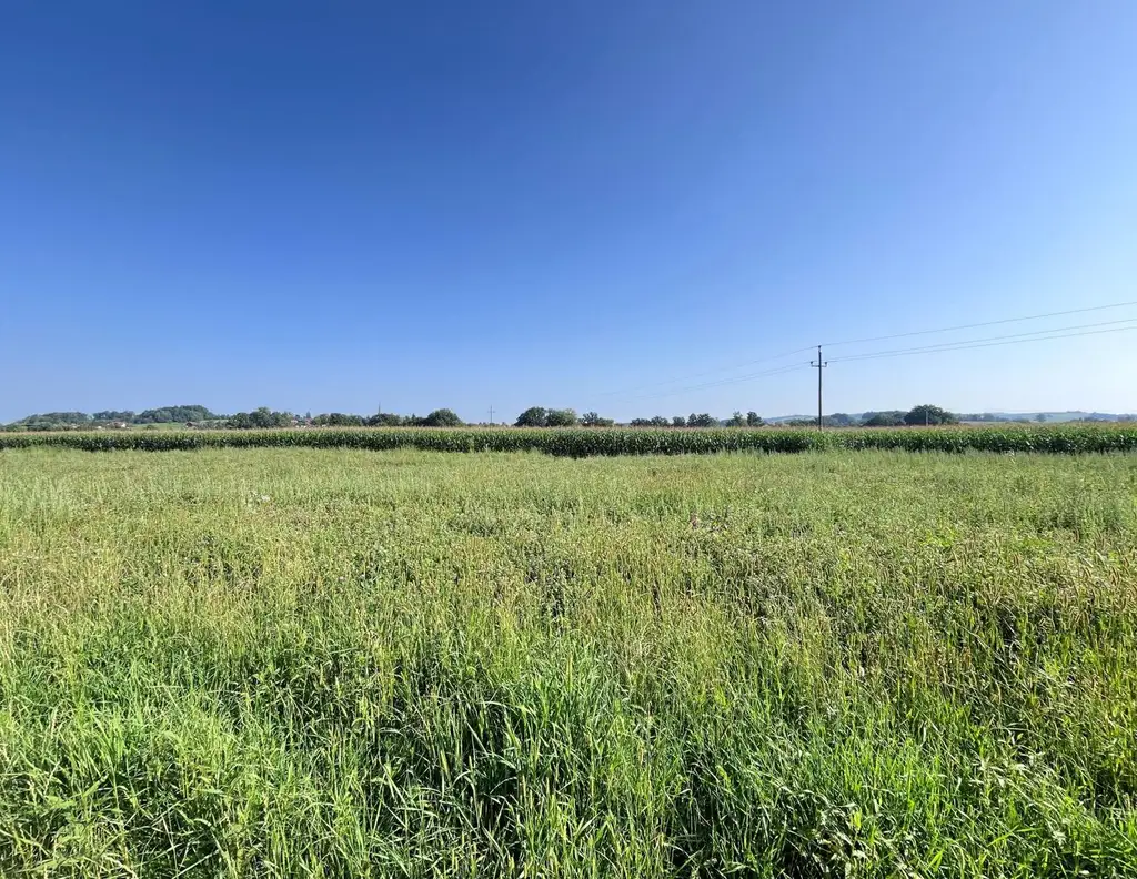 Ebener Baugrund in sonniger Ortsrandlage