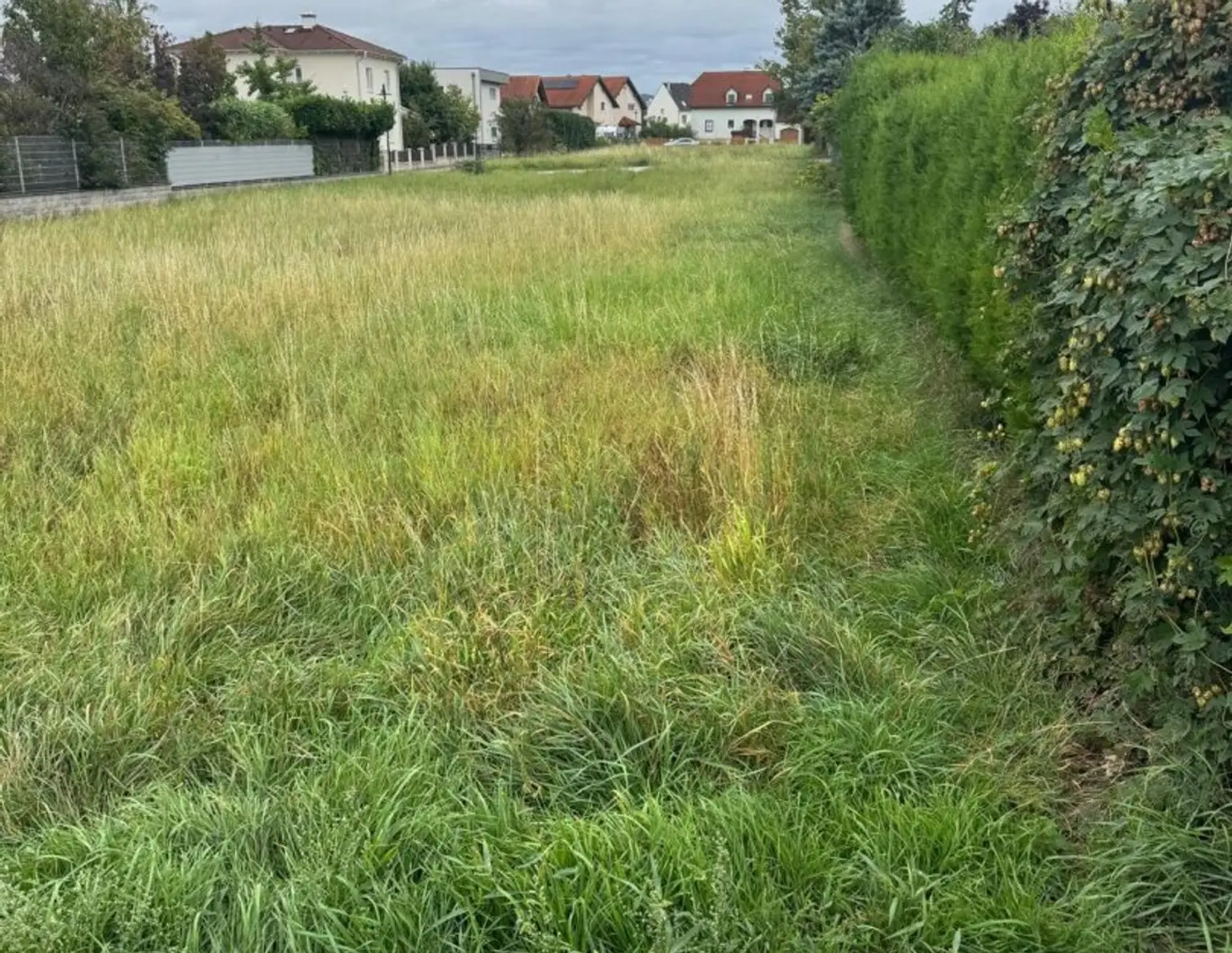TOP ! KORNEUBURG - Grundstücke in verschiedenen Größen in schöner Siedlungslage !