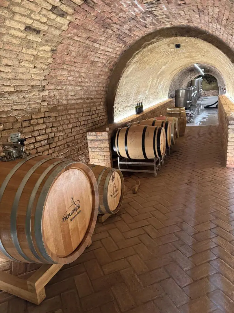 Kellerröhre Fässer