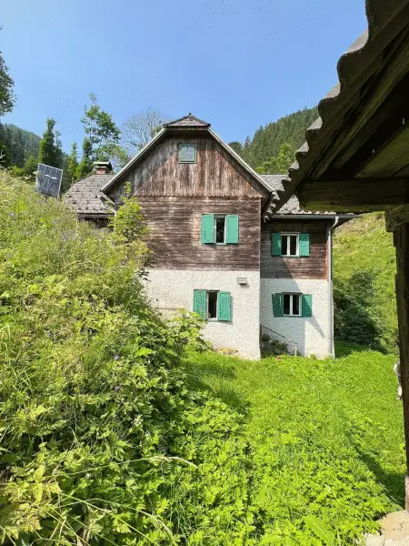 123 ha Eigenjagd mit hohem Altholzbestand