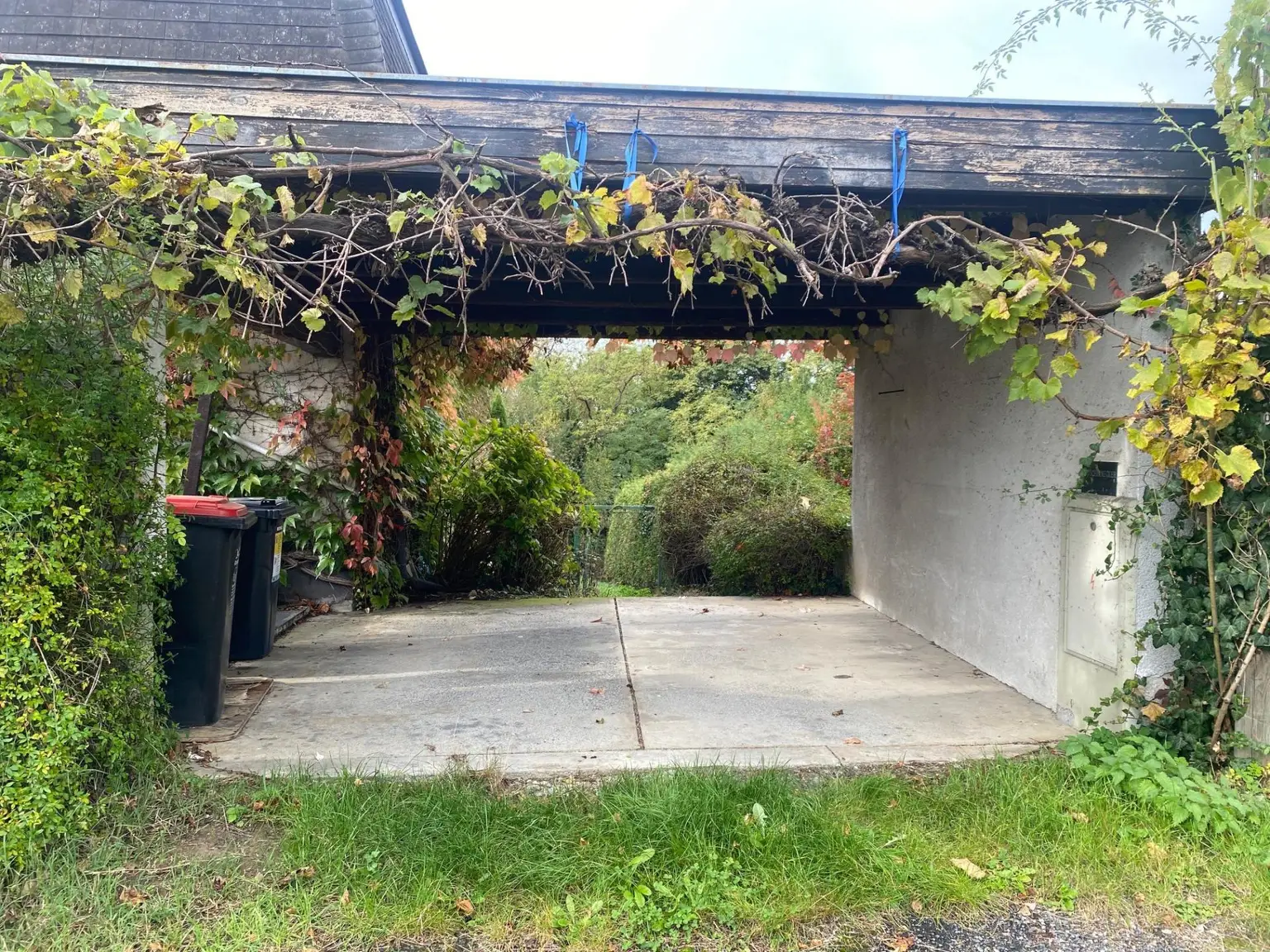 Küss mich wach - Ein Haus im Dornröschenschlaf!