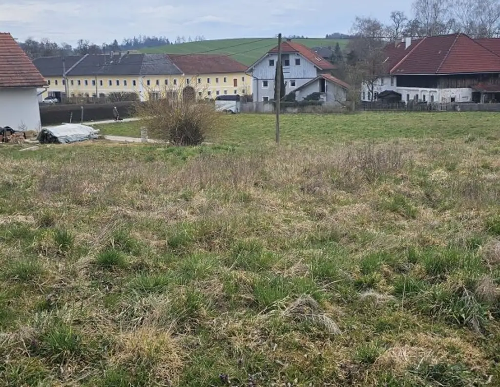 Baugrund in Buchkirhen um nur € 107.000,--