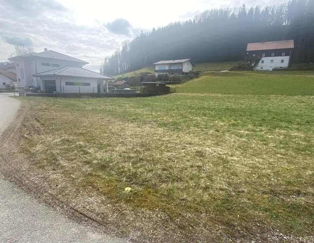 NEUER PREIS!!! 3 Reihenhäuser in Top Qualität und schlüsselfertiger Ausführung in ruhiger sonniger Siedlungslage
