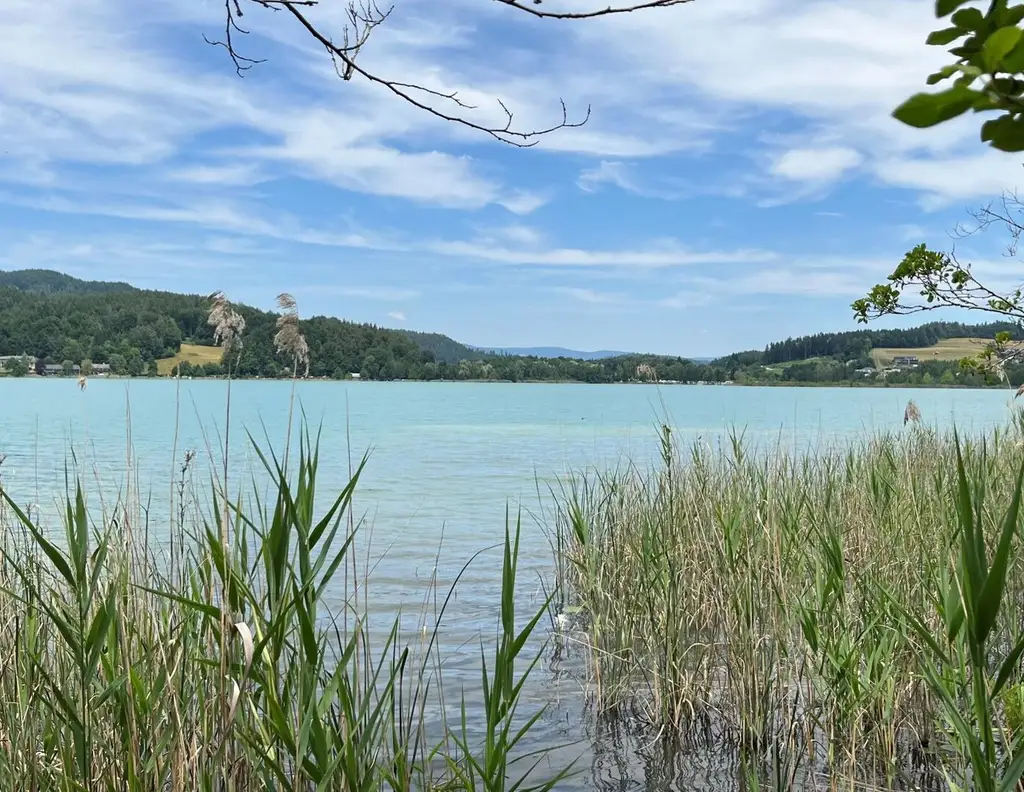 Natur pur am Keutschacher See