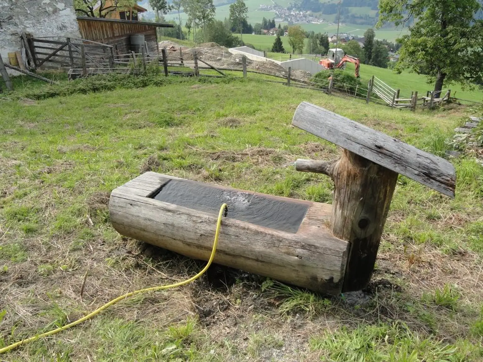 Teil des Garten