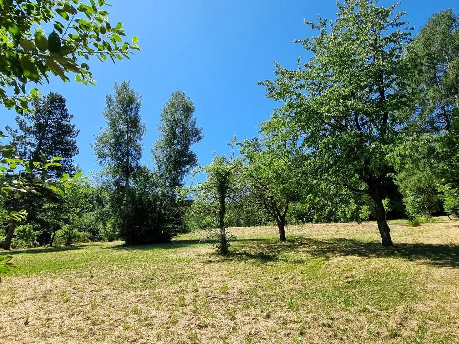 RARITÄT - IDYLLE PUR!! LANDHAUS MIT AUSBLICK IN SONNIGER RUHELAGE