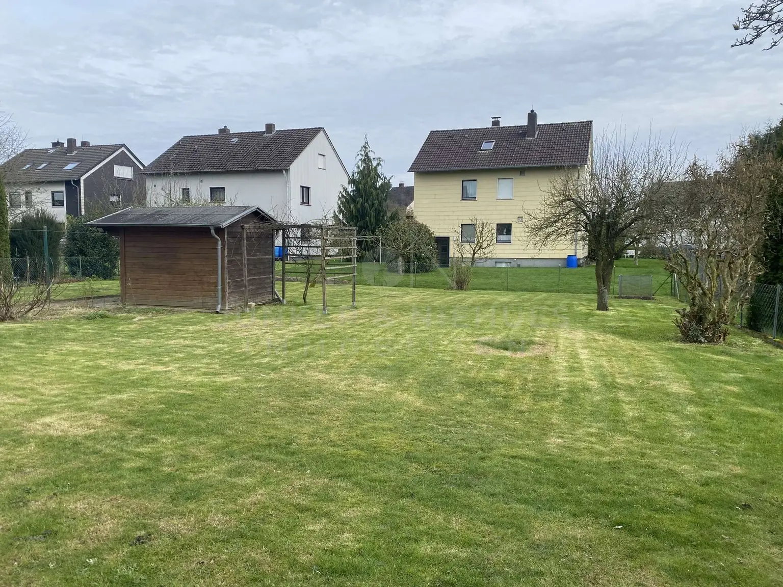 Blick in den Garten