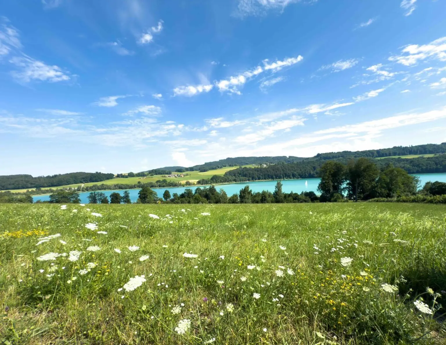 MATTSEE.SOMMERfreude | Badeplatz-Seegrundstück