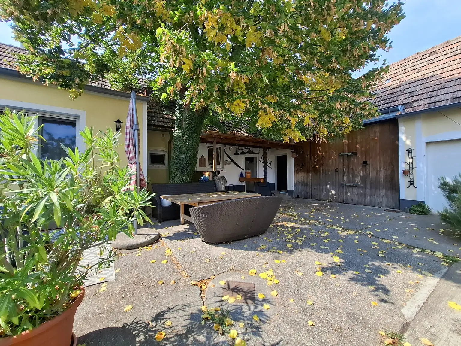 Vielseitig nutzbare Liegenschaft mit ausreichend Platz und herrlichem Blick auf die Hohe Wand