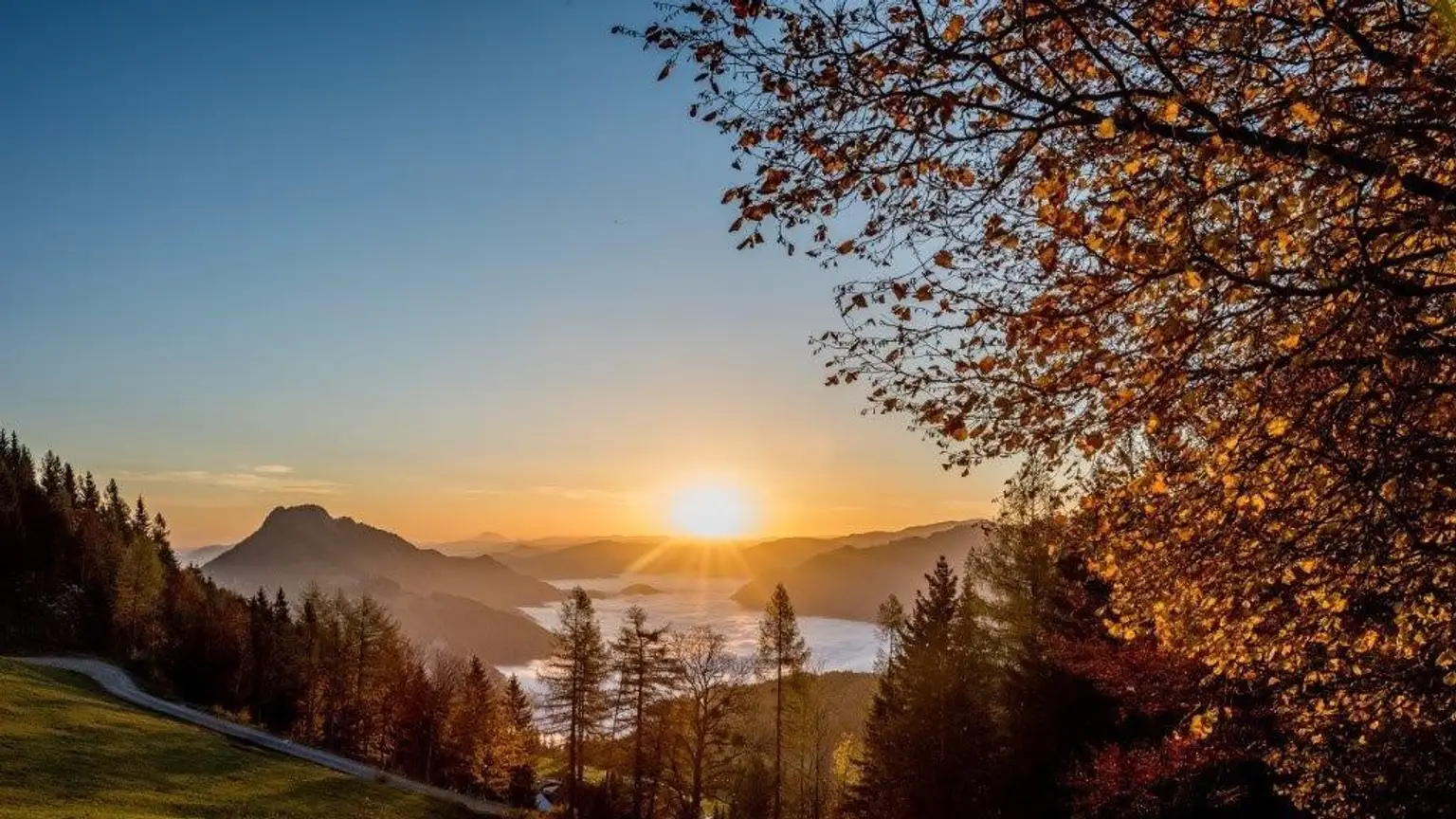 Landsitz in traumhafter Alleinlage
