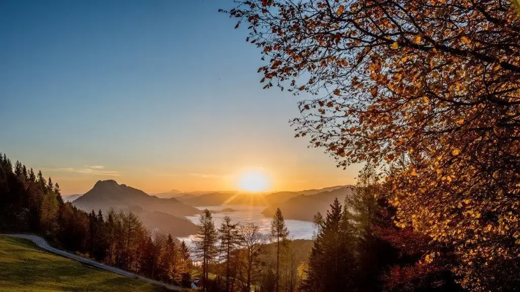 Landsitz in traumhafter Alleinlage