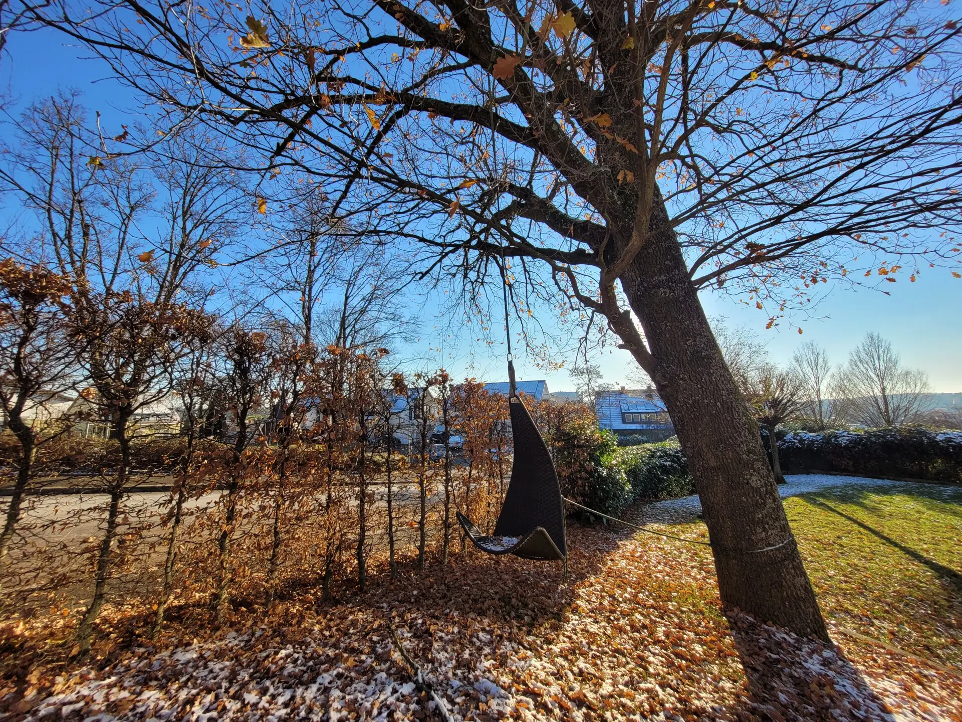 Gartenansicht Richtung Eiche