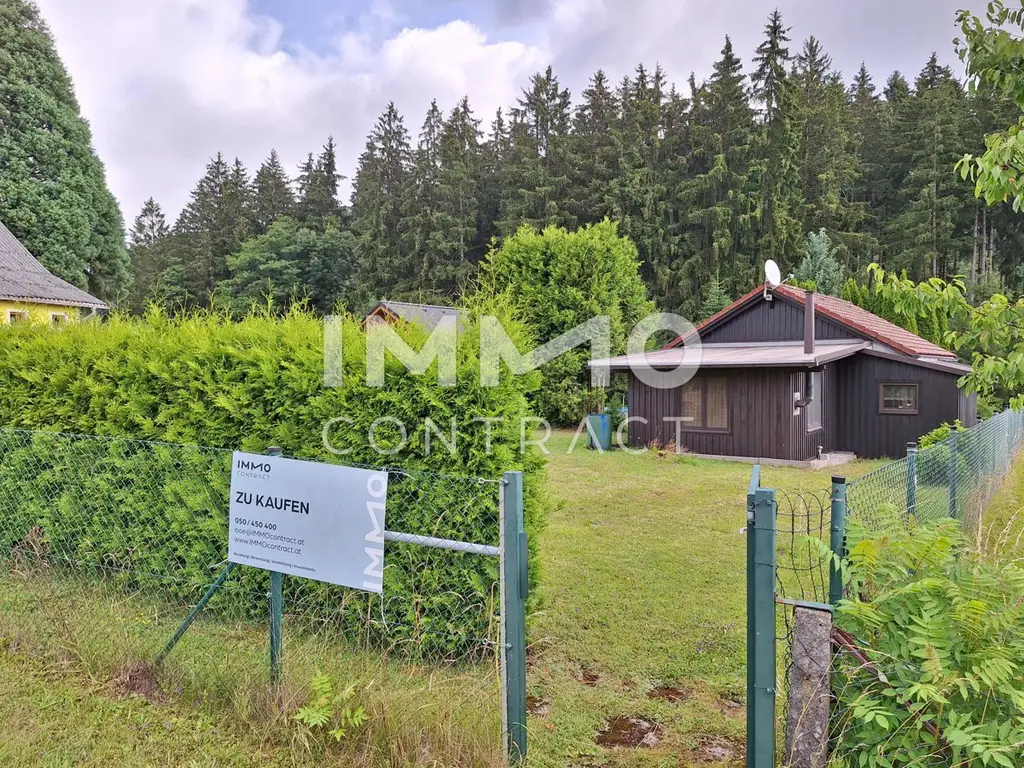 Sonniges Grundstück mit Gartenhütte