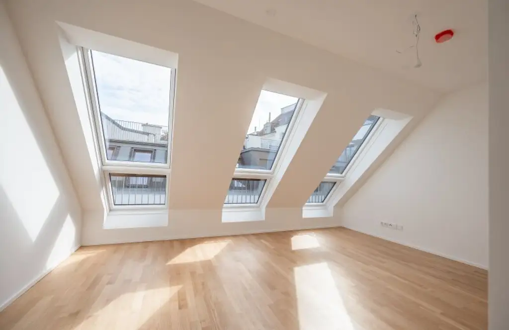 ++MOLLARD 50++ Unique 3-room apartment in the very heart of the city (2/12)