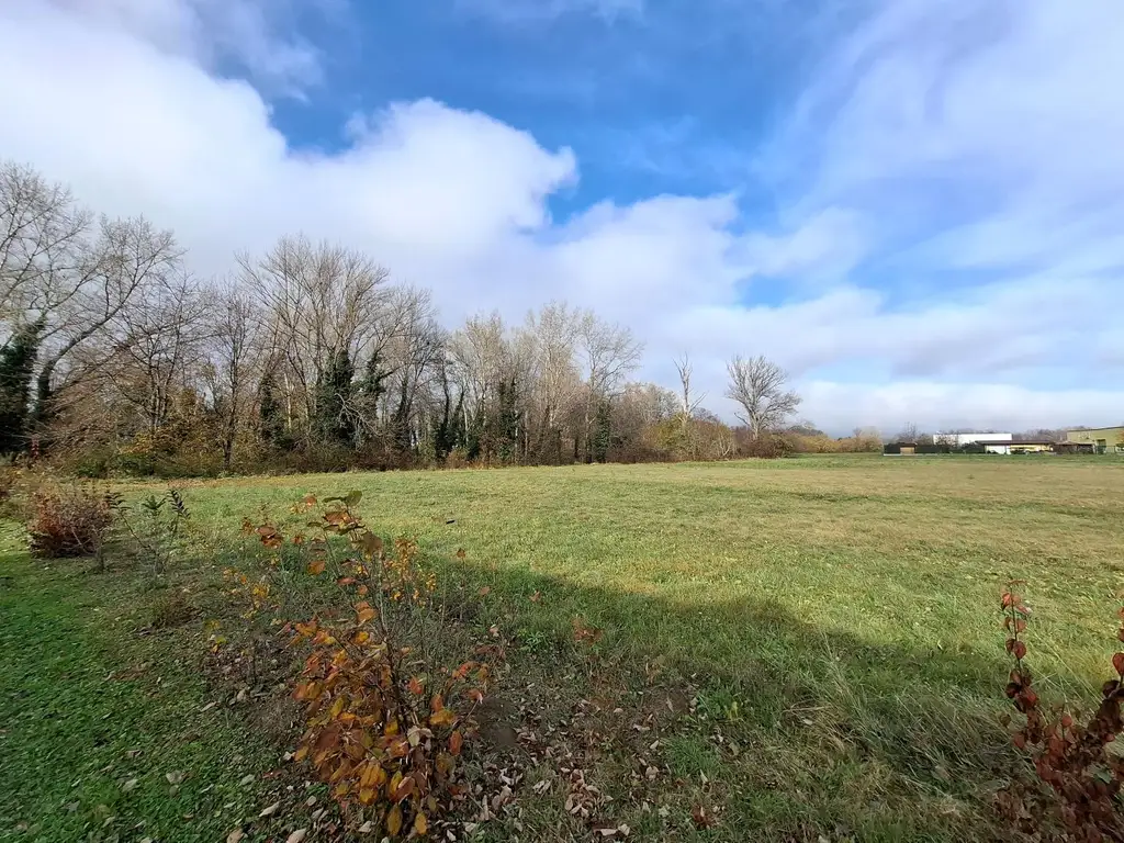 Neuwertige Doppelhaushälfte mit TOP Ausstattung in ruhiger Ortsrandlage