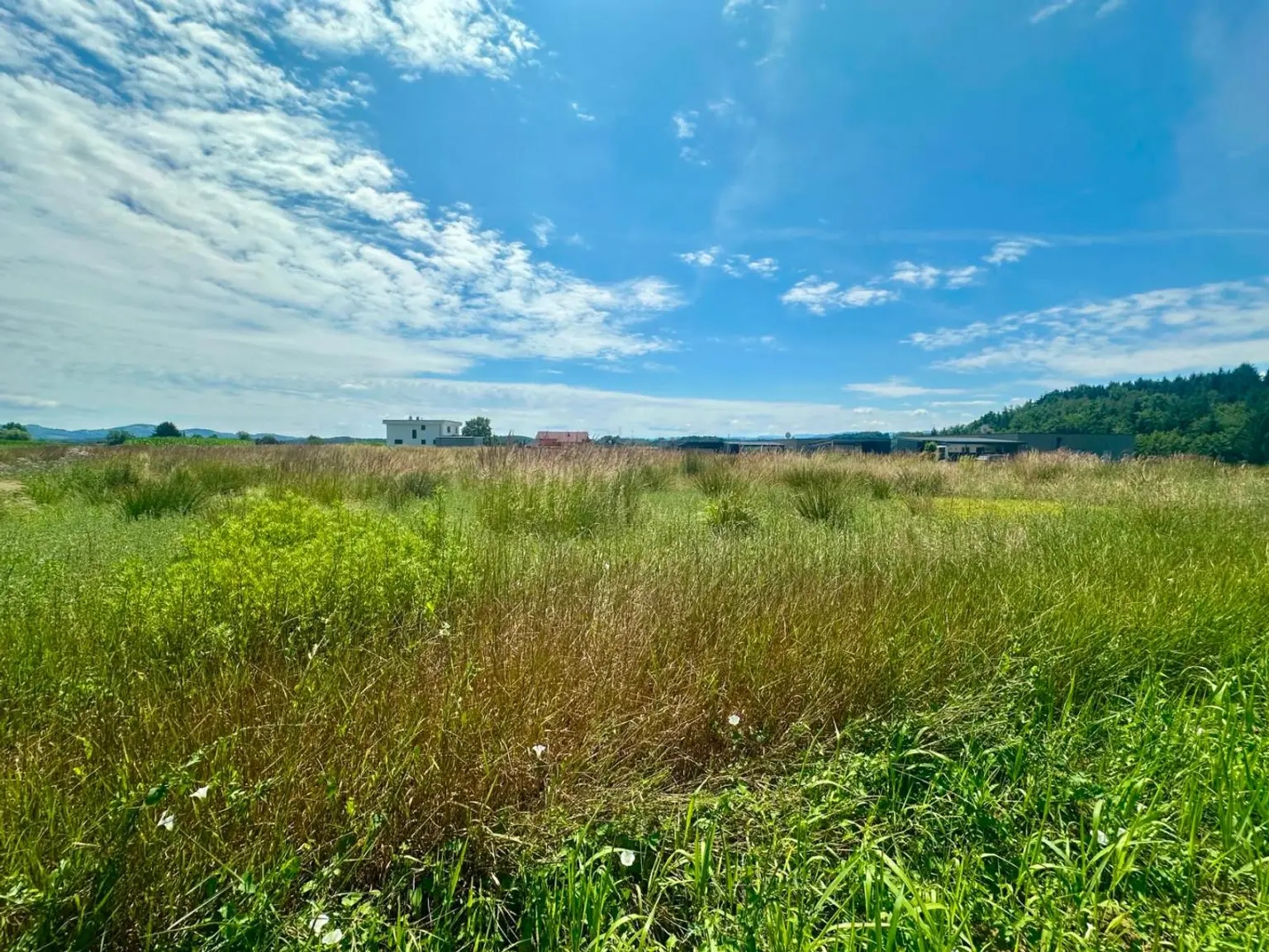 Baugrundstücke Top Lage sonnig und ruhig Gross St