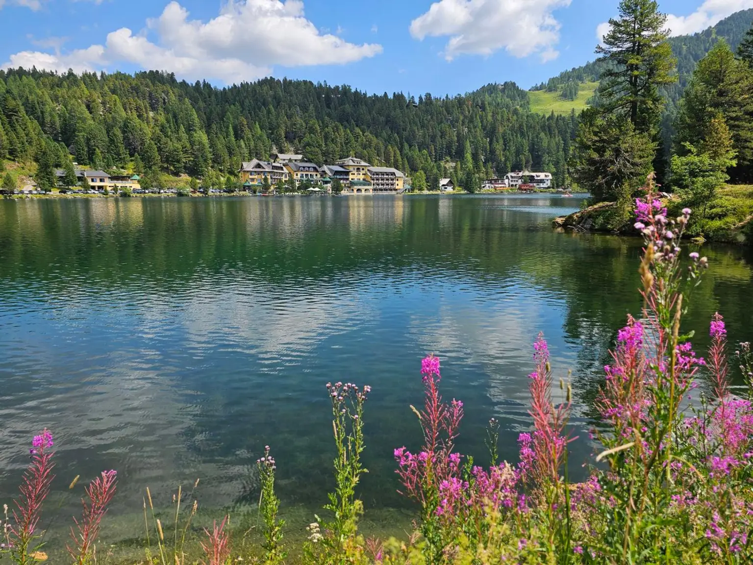 Ferienhaus im Zirbenwald - Turracher Höhe!
