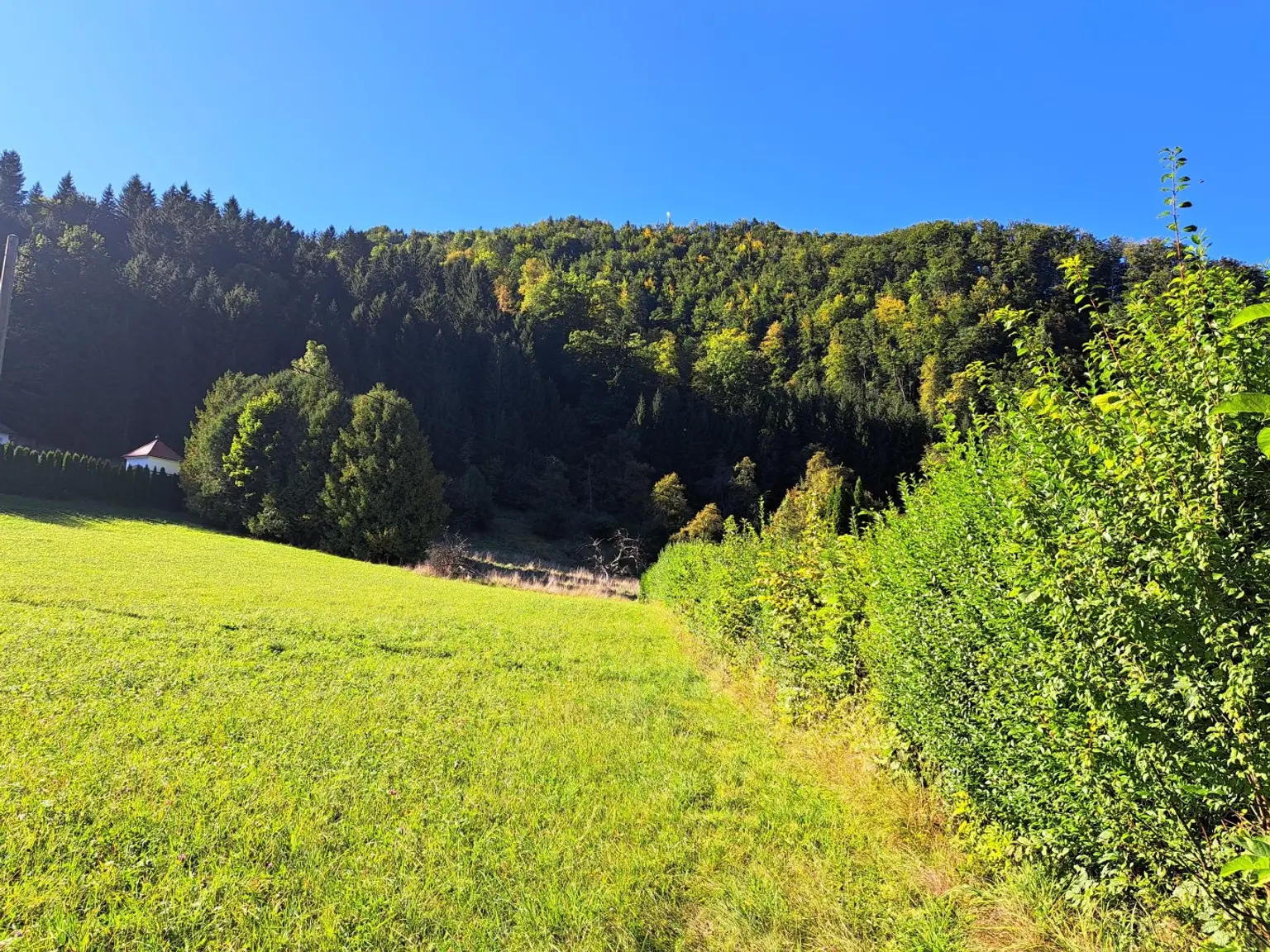Großzügiges Baugrundstück in Reichraming