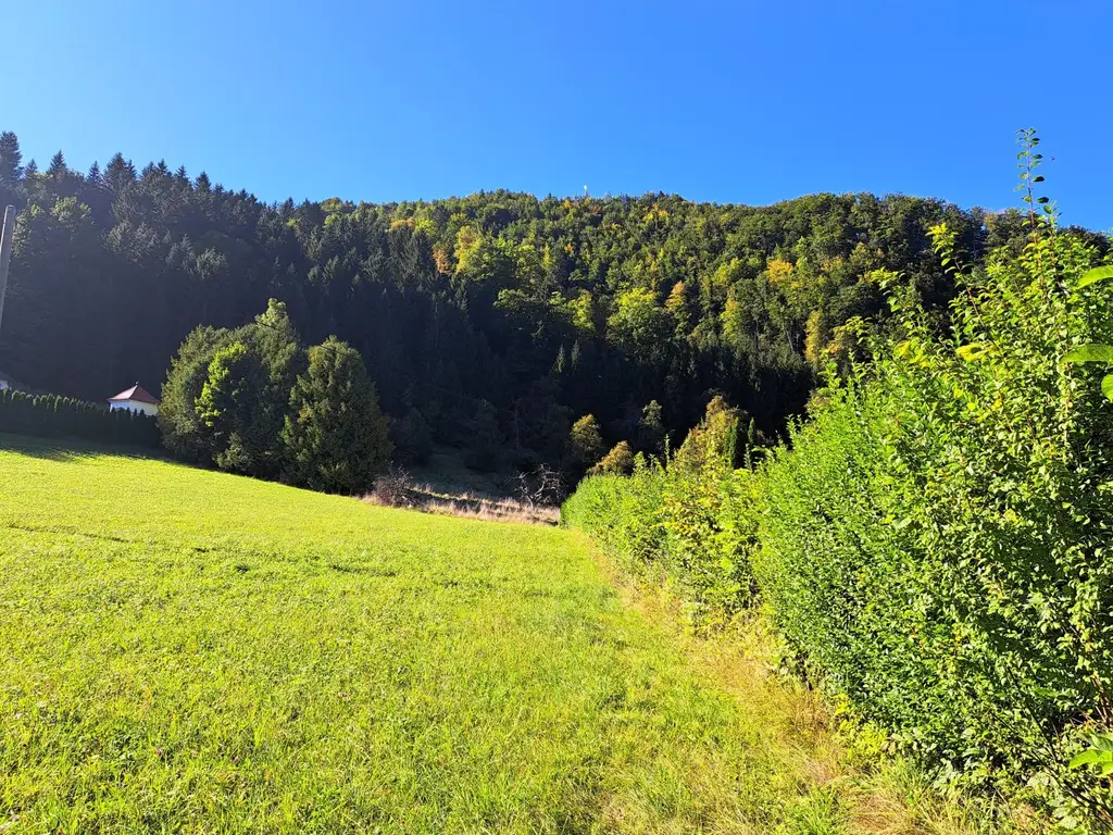 Großzügiges Baugrundstück in Reichraming