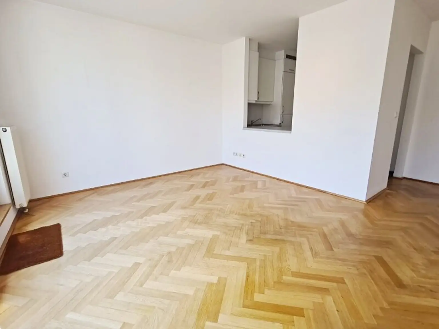 SALZTORGASSE, DONAUKANAL-NÄHE, 51 m2 Neubau mit Stehbalkon, 2 Zimmer, Komplettküche, Wannenbad, Parketten, Fernblick