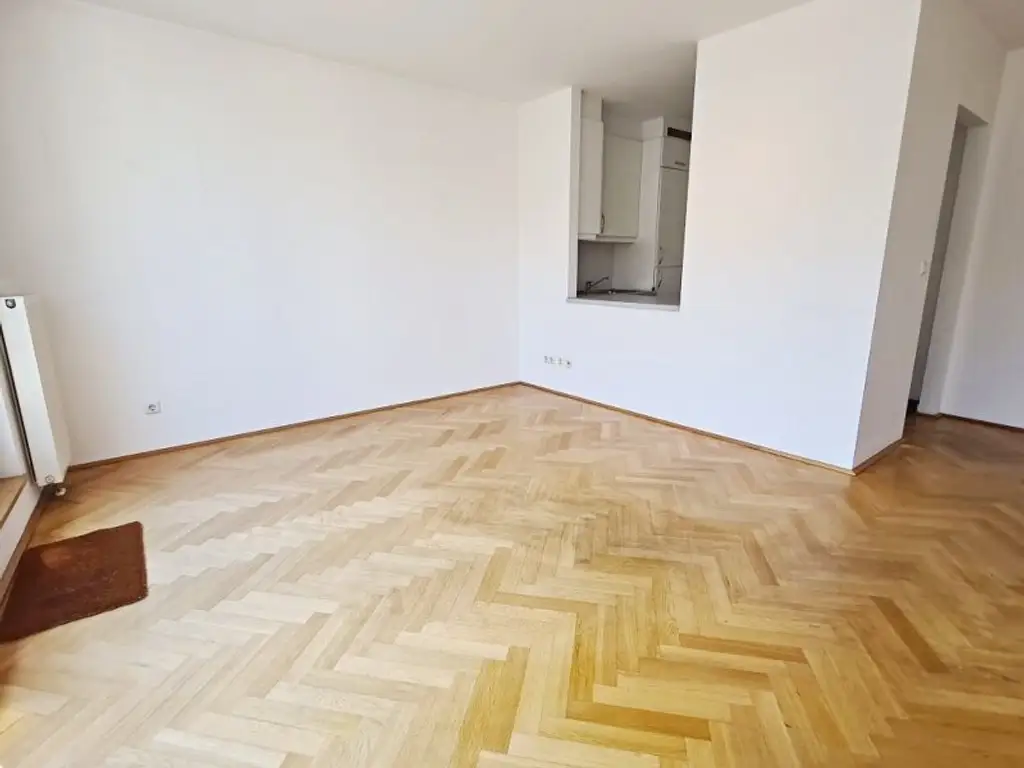 SALZTORGASSE, DONAUKANAL-NÄHE, 51 m2 Neubau mit Stehbalkon, 2 Zimmer, Komplettküche, Wannenbad, Parketten, Fernblick