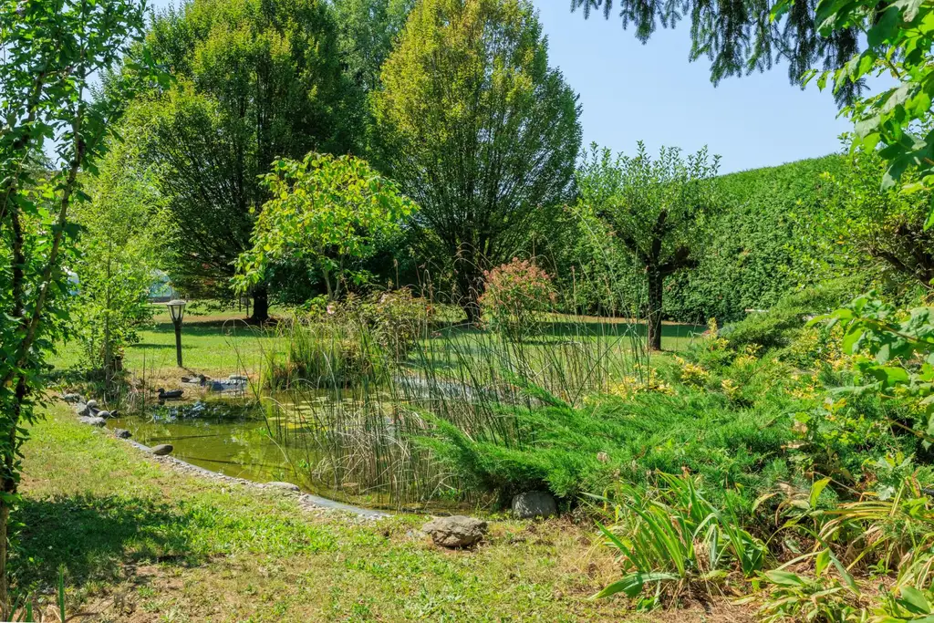 Mehrfamilienhaus mit Park