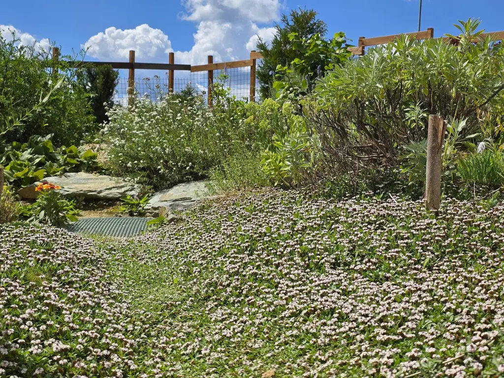 Neuwertiger Bungalow mit einzigartiger Steingartengestaltung und Naturteich