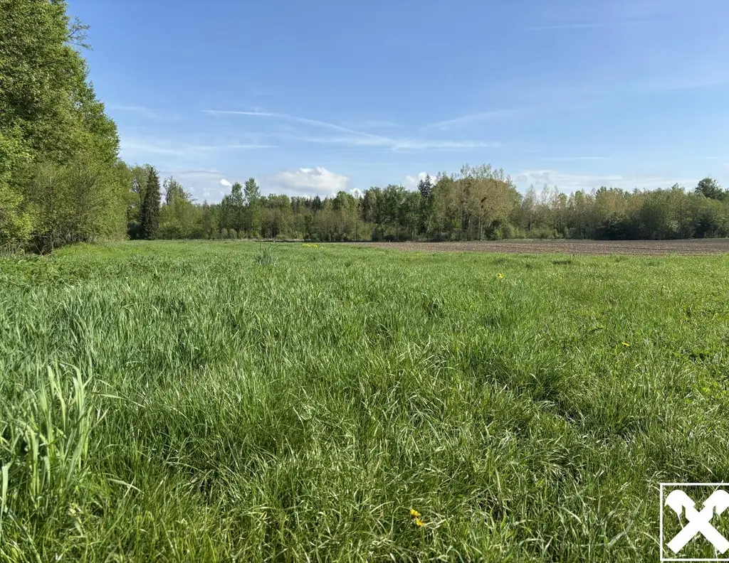 Landwirtschaftliche Fläche mit Waldanteil und guter Erreichbarkeit