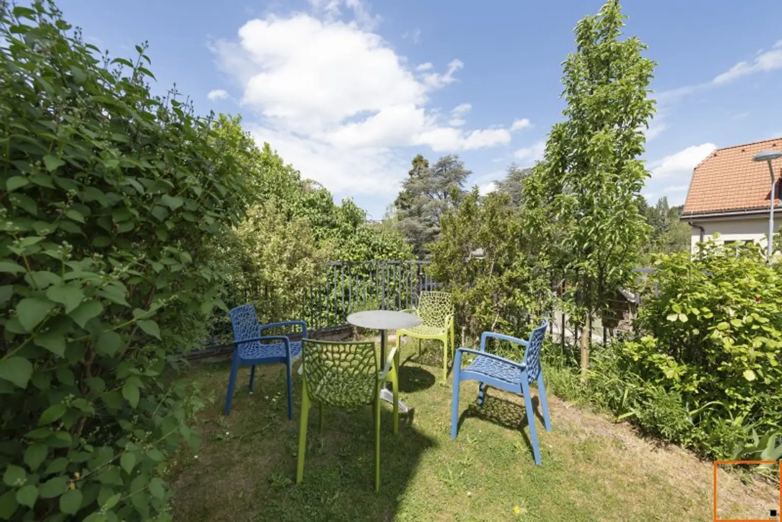 Der Nachbarsgarten