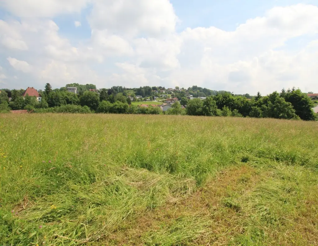 1018 m² Grundstück in einer ruhigen Siedlung in 4760 Raab zu kaufen!