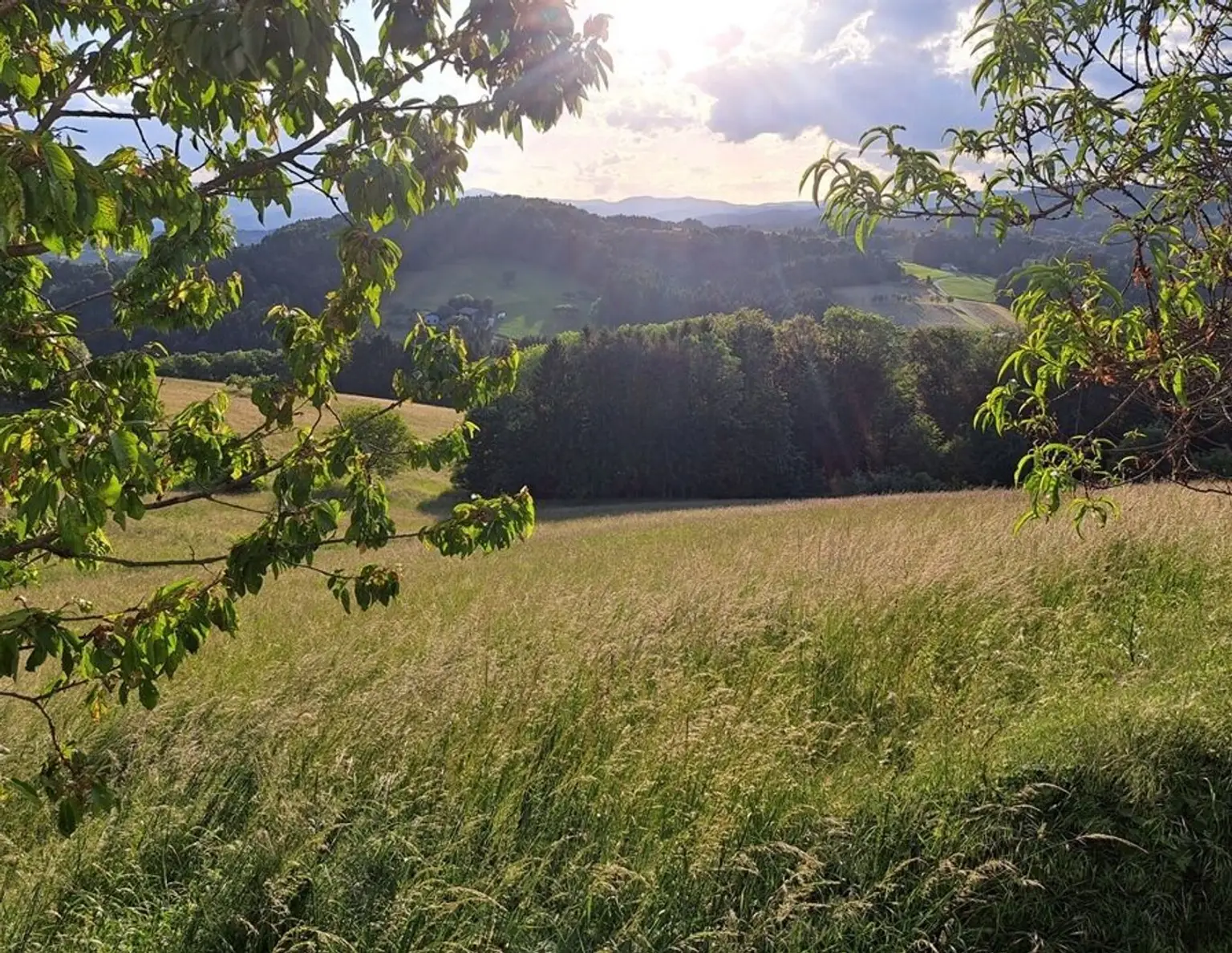 Pferdeliebhaber aufgepasst: Top-Landwirtschaft in herrlicher Lage Nähe Graz