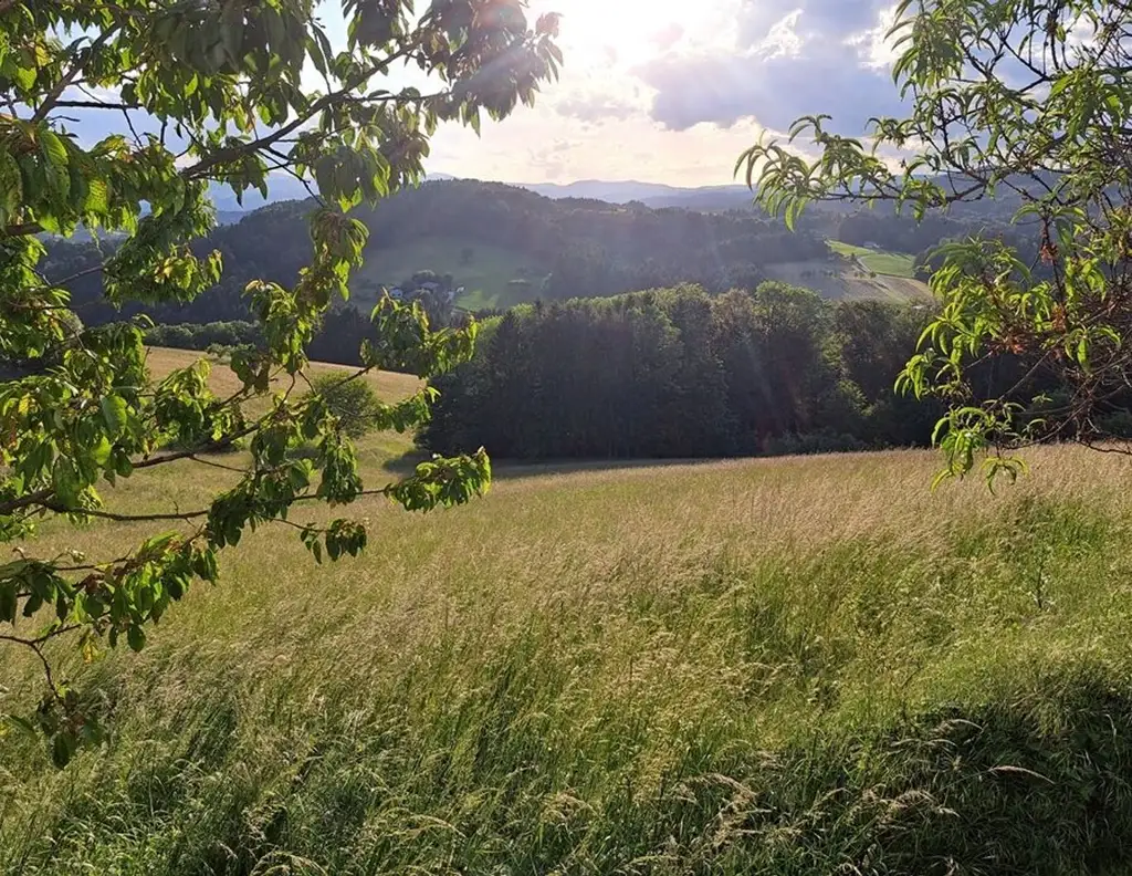 Pferdeliebhaber aufgepasst: Top-Landwirtschaft in herrlicher Lage Nähe Graz