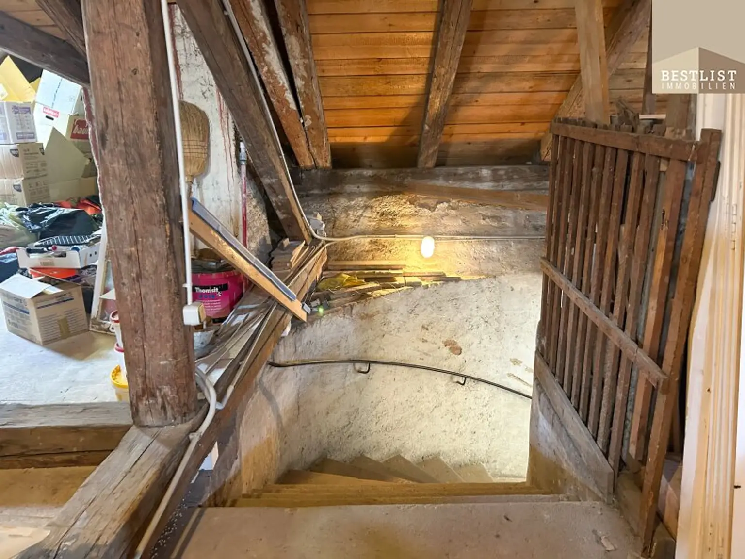 Traumhafte Innenstadtlage - Rohdachboden