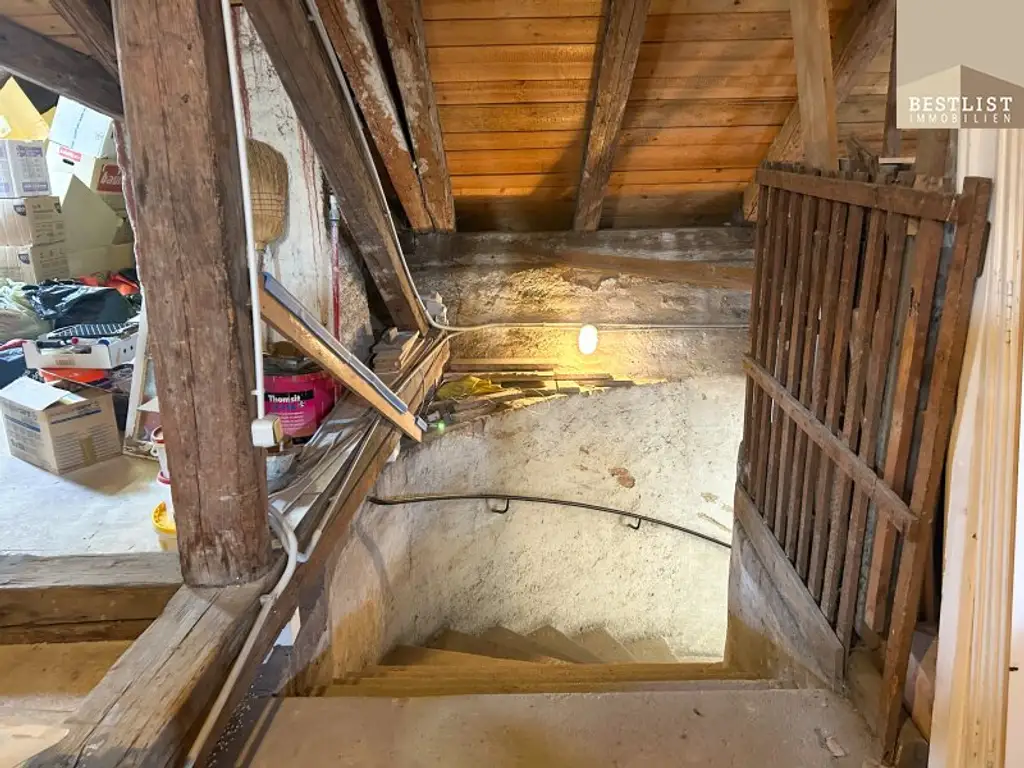 Traumhafte Innenstadtlage - Rohdachboden