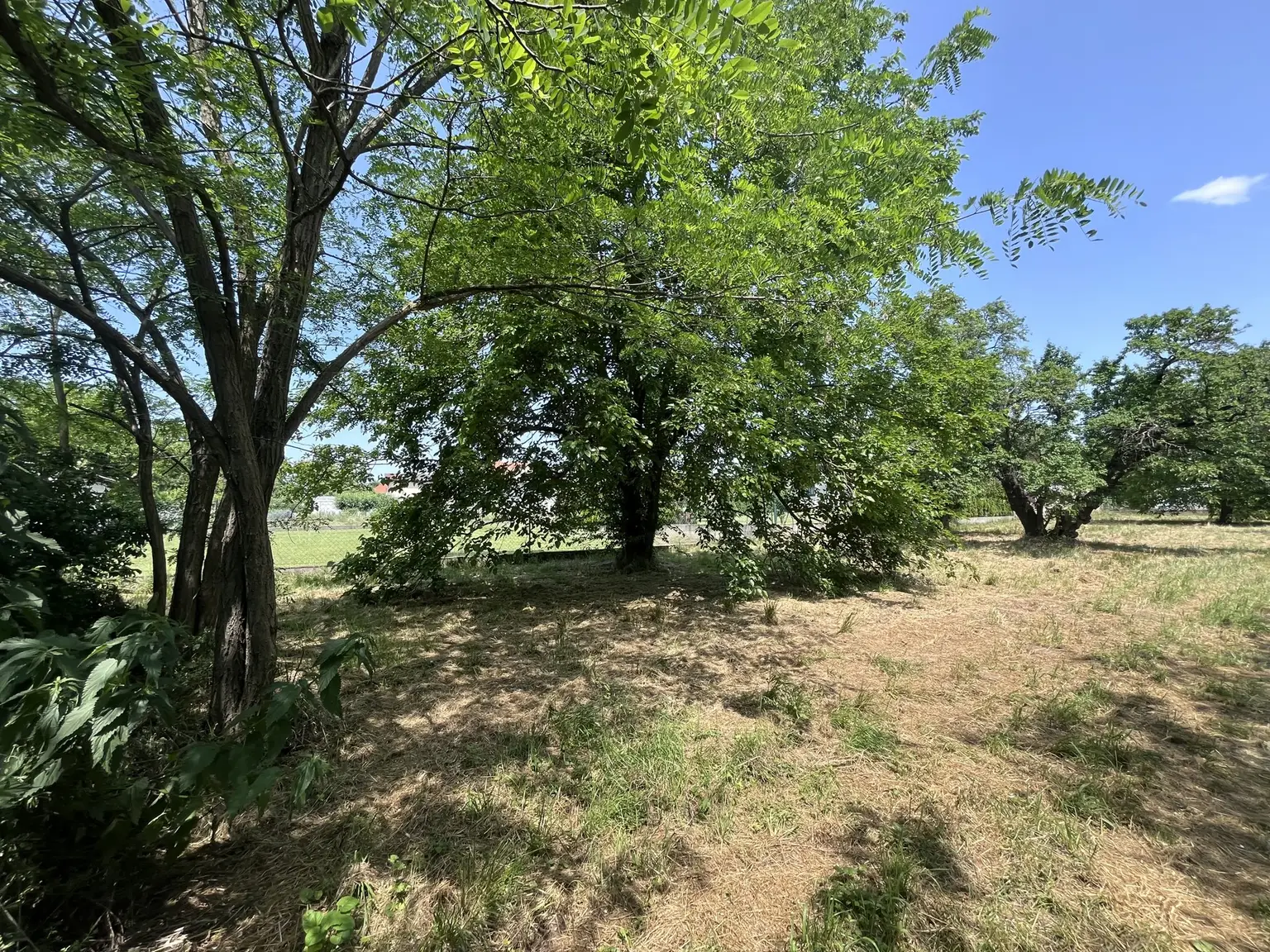Grundstück mit Altbestand