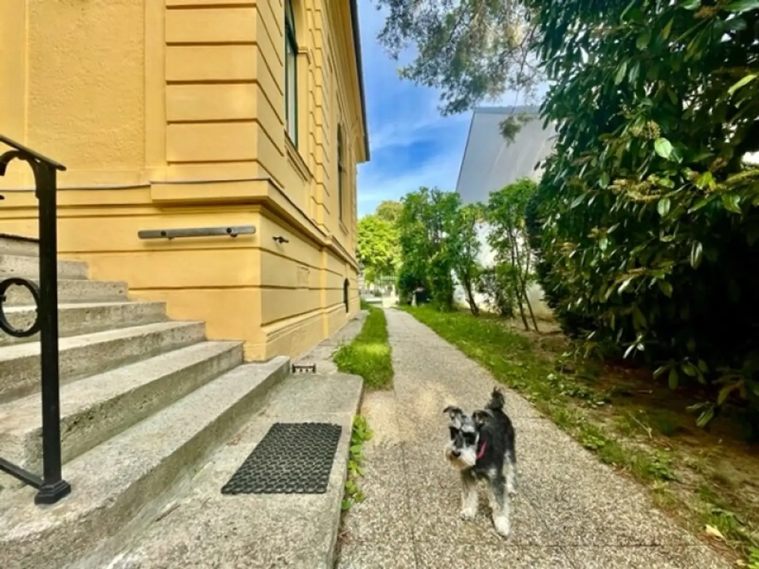 Majestätische VILLA mit 2 separaten WOHNEINHEITEN, Zusatz-Gebäude-ANLEGERWOHNUNG und herrlichen GARTEN-Grünruhe-OASE - absolutes Unikat - BADEN!