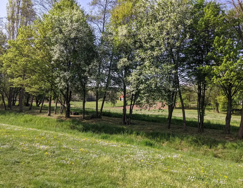 Privat: Sonniges Baugrundstück in Südburgenland