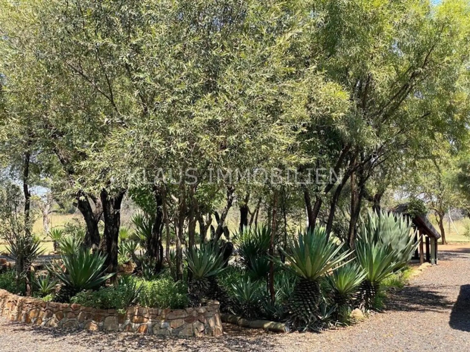 in Vorbereitung! Leben Sie den südafrikanischen Traum und entdecken Sie die Schönheit des privaten Wildtierreservat am Vaalkop Dam Nature Reserve