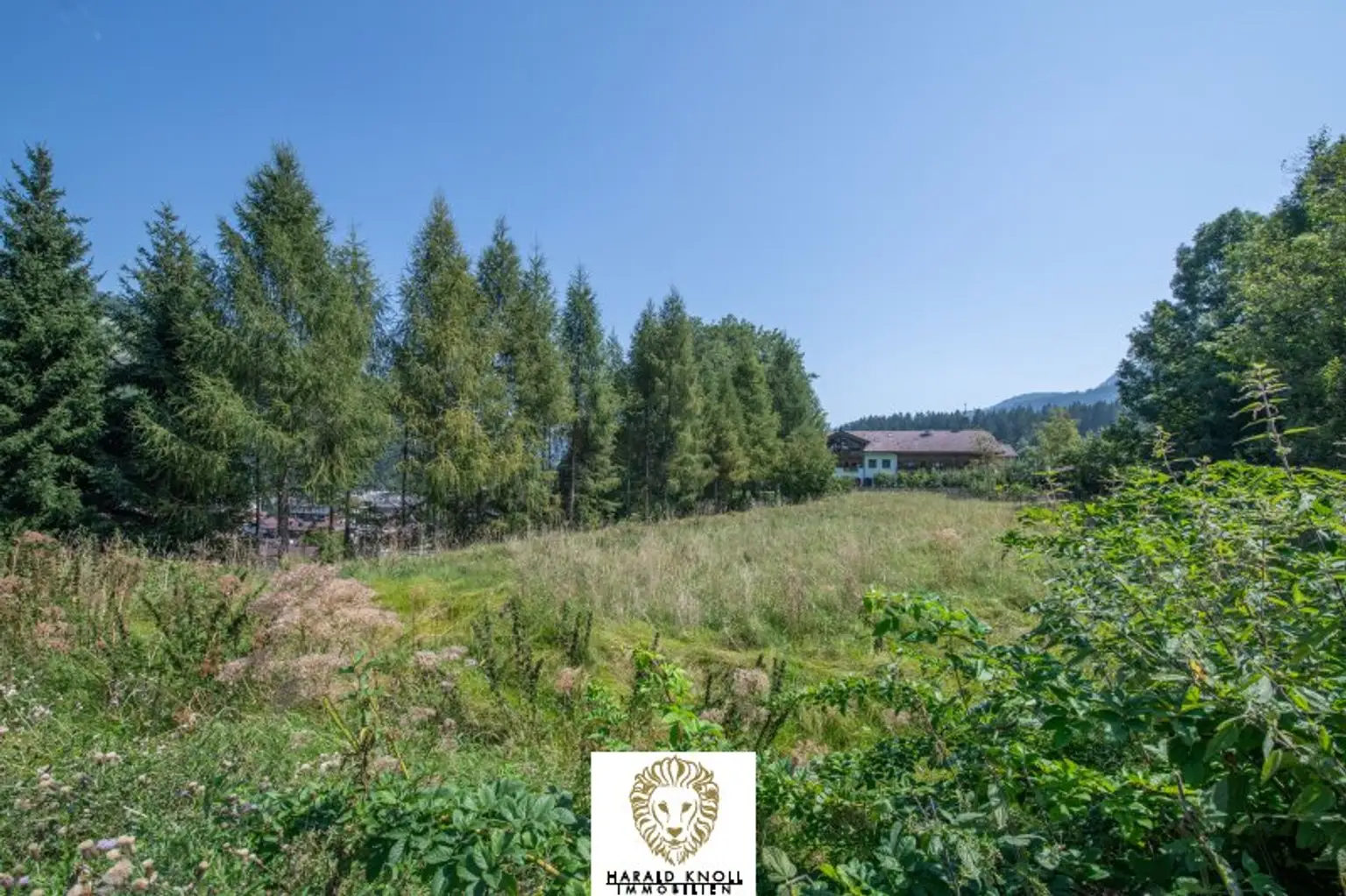 Traumhaftes Baugrundstück mit unverbaubarem Ausblick