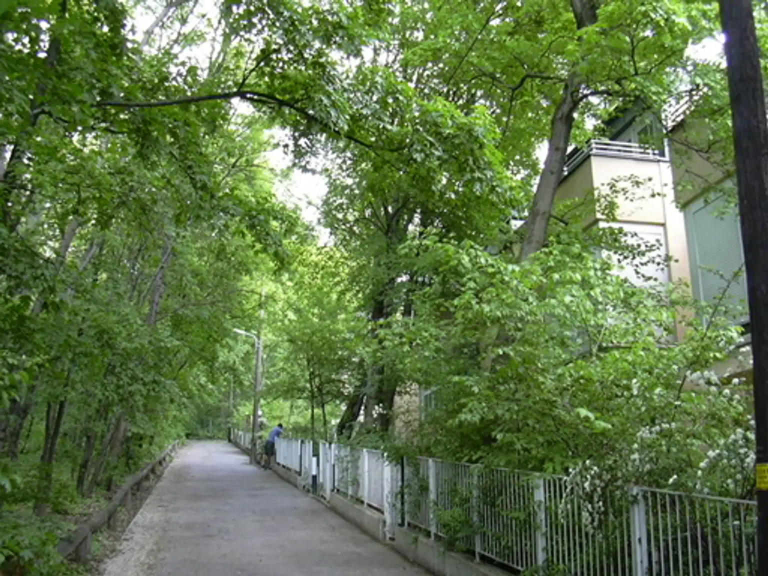 01 Außenansicht Waldseite